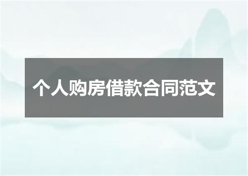 个人购房借款合同范文