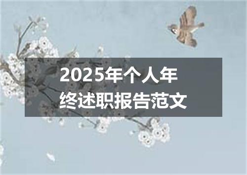 2025年个人年终述职报告范文