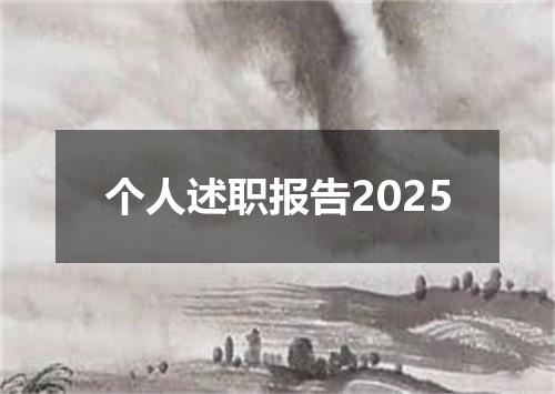 个人述职报告2025