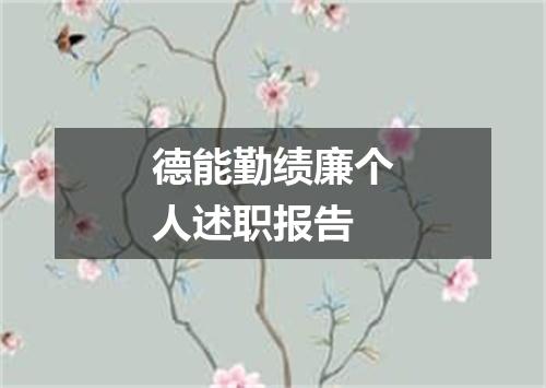 德能勤绩廉个人述职报告