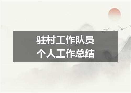 驻村工作队员个人工作总结