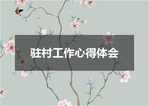 驻村工作心得体会