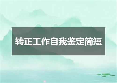 转正工作自我鉴定简短