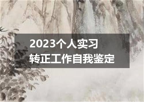 2023个人实习转正工作自我鉴定