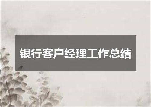 银行客户经理工作总结
