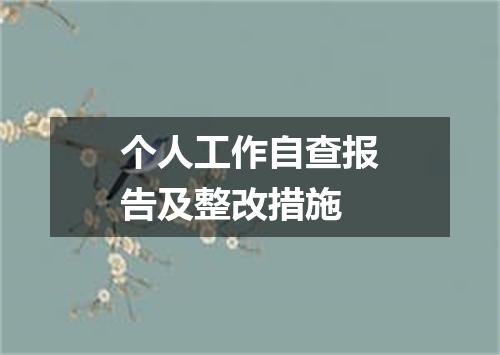 个人工作自查报告及整改措施