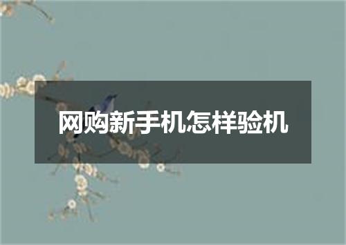 网购新手机怎样验机