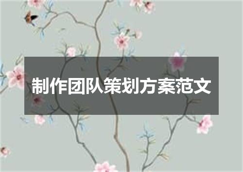 制作团队策划方案范文