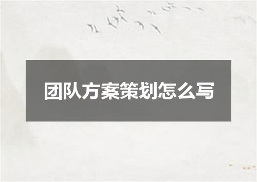 团队方案策划怎么写