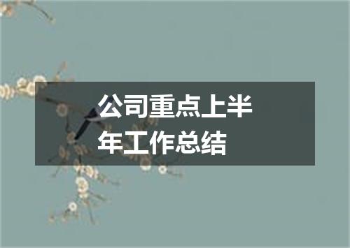 公司重点上半年工作总结