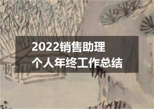 2022销售助理个人年终工作总结