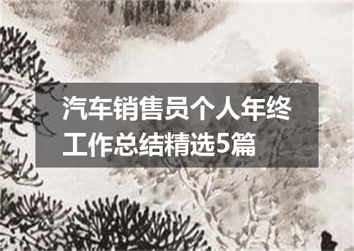 汽车销售员个人年终工作总结精选5篇