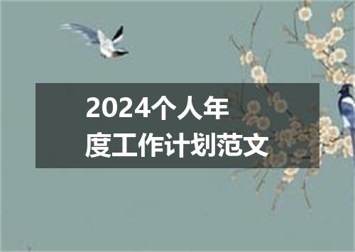 2024个人年度工作计划范文