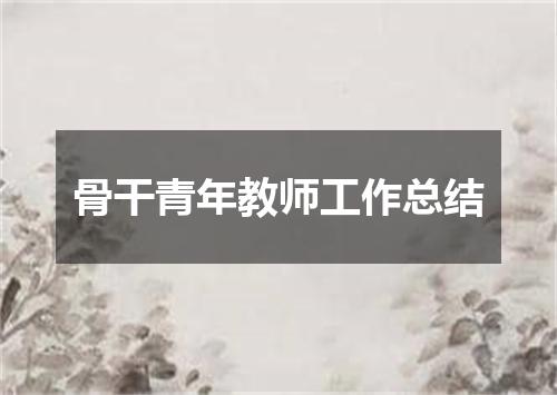骨干青年教师工作总结