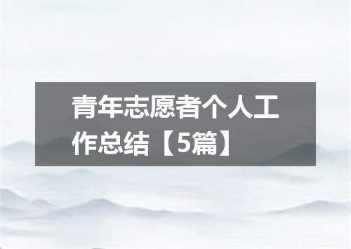 青年志愿者个人工作总结【5篇】