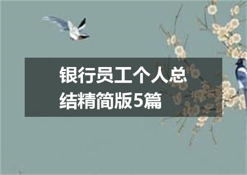 银行员工个人总结精简版5篇