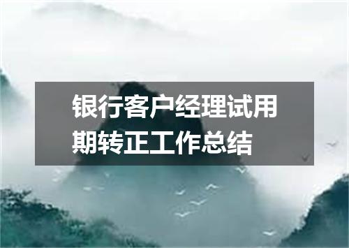 银行客户经理试用期转正工作总结