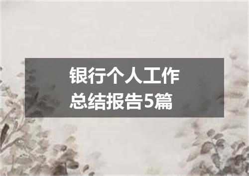 银行个人工作总结报告5篇