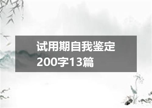 试用期自我鉴定200字13篇