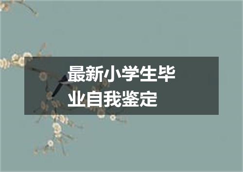 最新小学生毕业自我鉴定