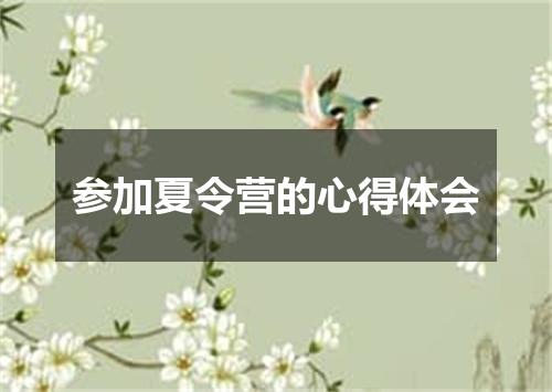 参加夏令营的心得体会