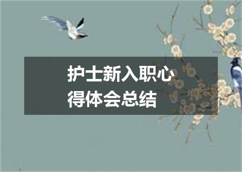 护士新入职心得体会总结