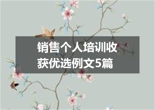 销售个人培训收获优选例文5篇
