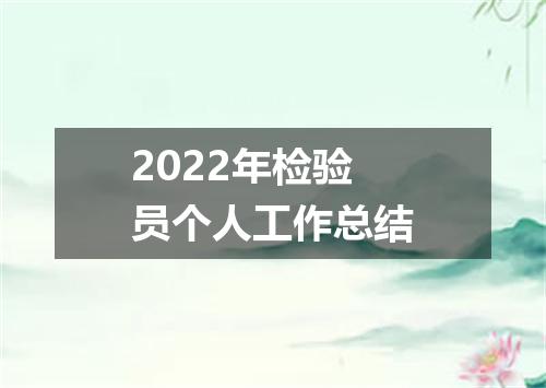 2022年检验员个人工作总结