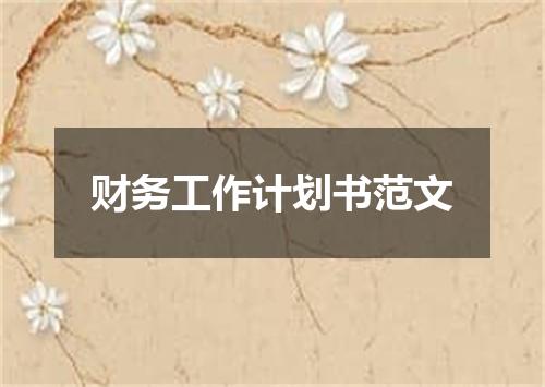 财务工作计划书范文