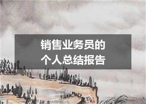 销售业务员的个人总结报告