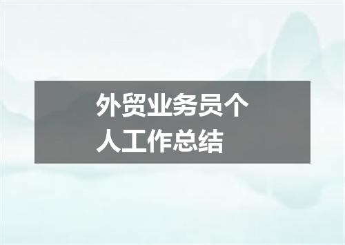 外贸业务员个人工作总结