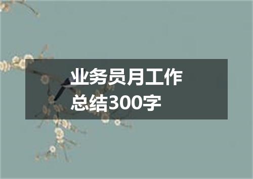 业务员月工作总结300字