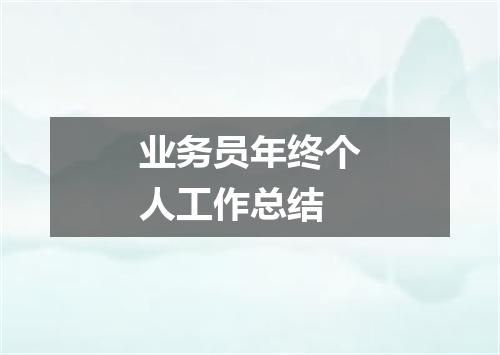 业务员年终个人工作总结