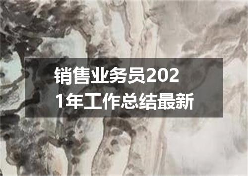 销售业务员2021年工作总结最新