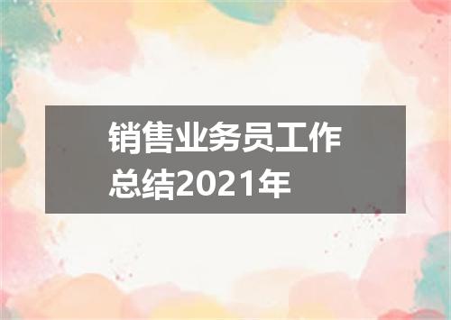 销售业务员工作总结2021年