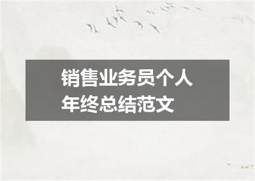 销售业务员个人年终总结范文