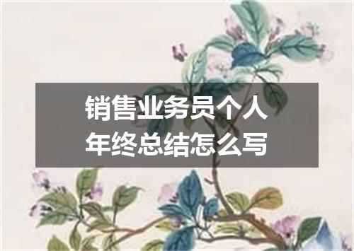 销售业务员个人年终总结怎么写
