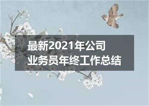 最新2021年公司业务员年终工作总结