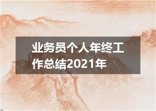 业务员个人年终工作总结2021年