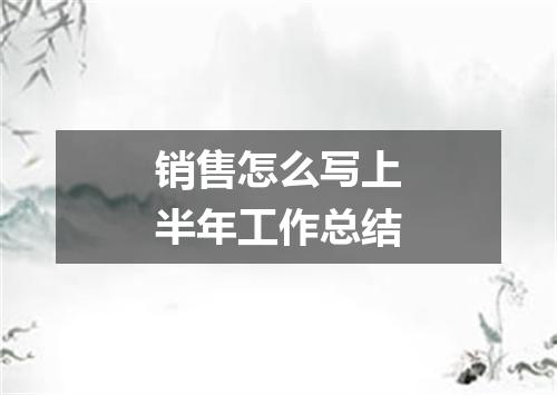 销售怎么写上半年工作总结