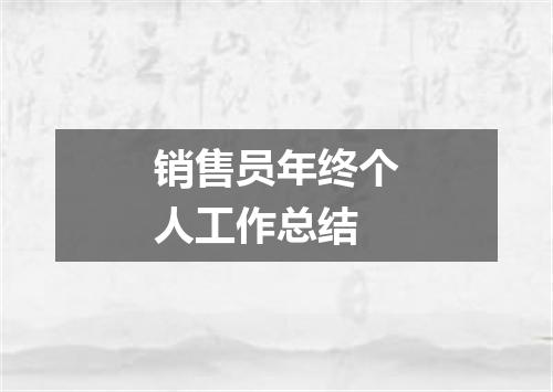 销售员年终个人工作总结