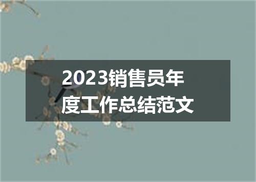 2023销售员年度工作总结范文