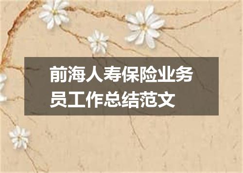 前海人寿保险业务员工作总结范文