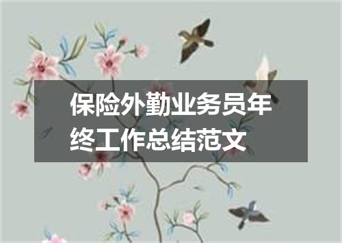 保险外勤业务员年终工作总结范文