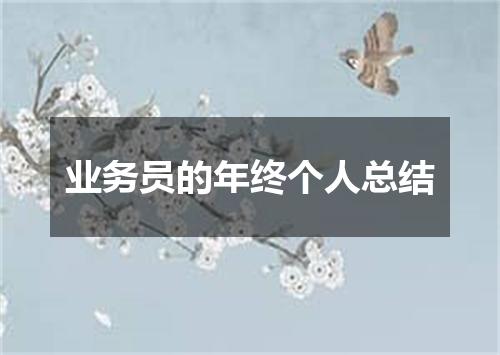 业务员的年终个人总结