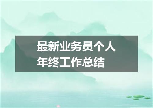 最新业务员个人年终工作总结