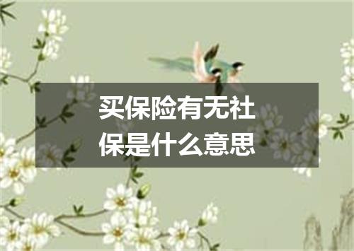 买保险有无社保是什么意思