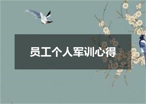 员工个人军训心得