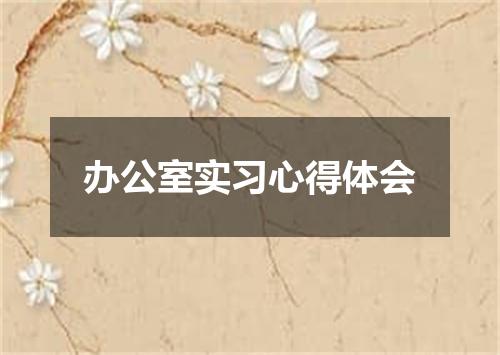 办公室实习心得体会