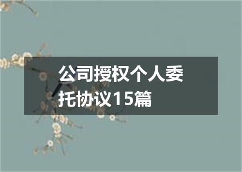 公司授权个人委托协议15篇